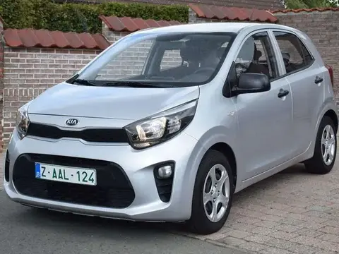 Annonce KIA PICANTO Essence 2019 d'occasion 