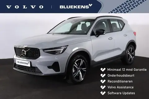 Used VOLVO XC40 Hybrid 2024 Ad 