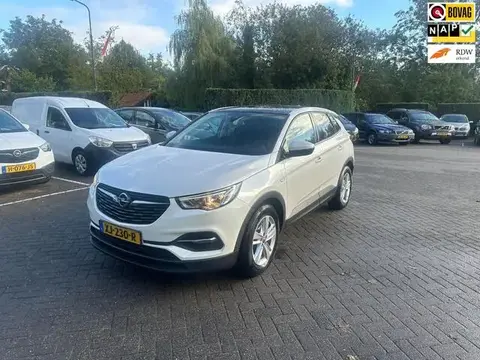 Used OPEL GRANDLAND Petrol 2019 Ad 