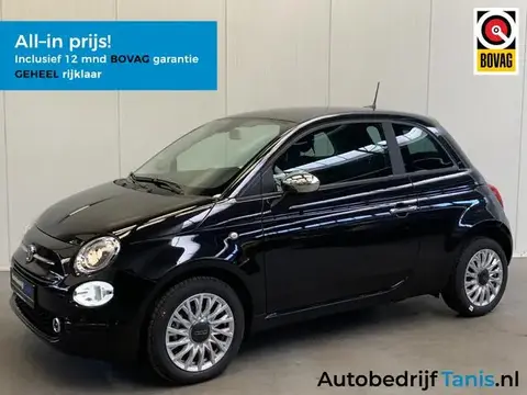 Used FIAT 500 Petrol 2024 Ad 