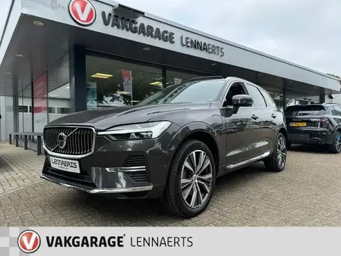 Annonce VOLVO XC60 Hybride 2022 d'occasion 