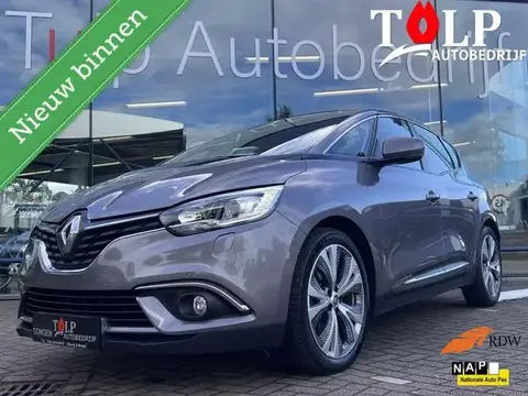 Used RENAULT SCENIC Petrol 2019 Ad 