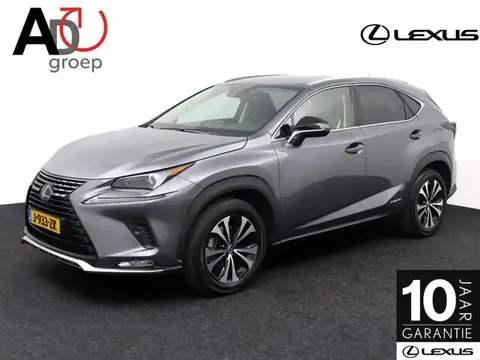 Used LEXUS NX Hybrid 2020 Ad 