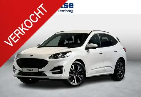 Used FORD KUGA Hybrid 2020 Ad 