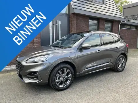 Annonce FORD KUGA Hybride 2022 d'occasion 