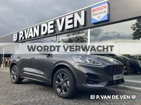 Annonce FORD KUGA Hybride 2022 d'occasion 