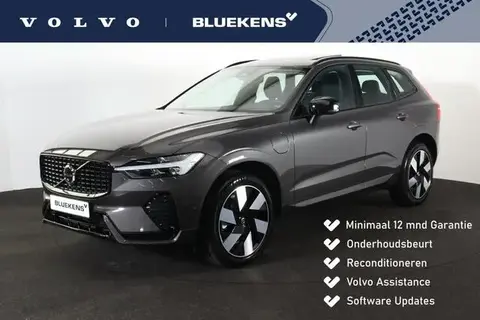 Used VOLVO XC60 Hybrid 2024 Ad 