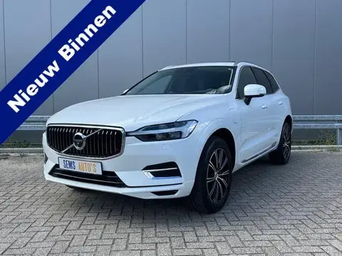 Annonce VOLVO XC60 Hybride 2021 d'occasion 