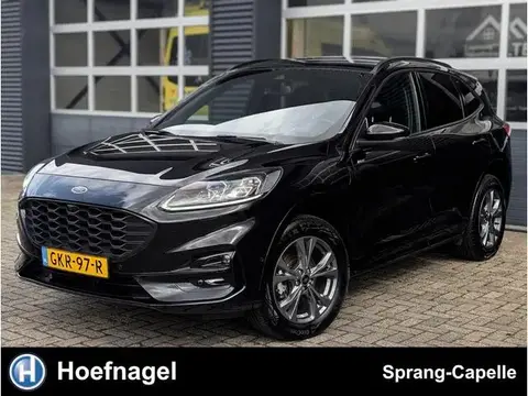 Used FORD KUGA Hybrid 2023 Ad 