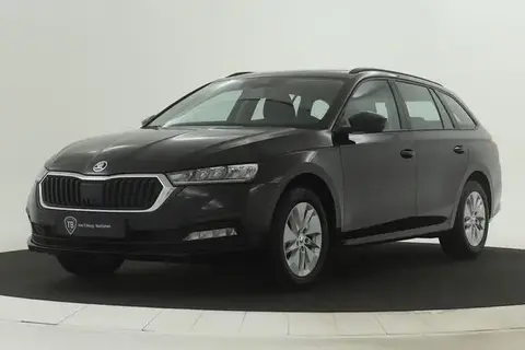 Used SKODA OCTAVIA Petrol 2024 Ad 