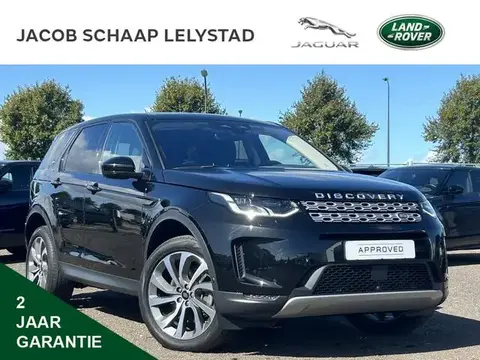 Annonce LAND ROVER DISCOVERY Hybride 2021 d'occasion 