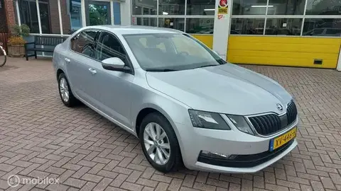 Used SKODA OCTAVIA Petrol 2019 Ad 