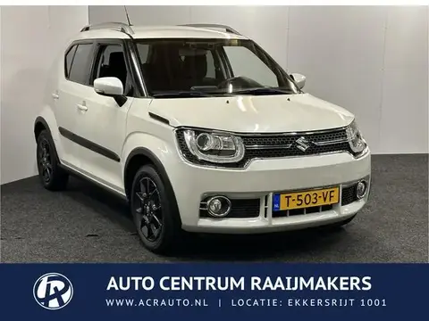 Used SUZUKI IGNIS Petrol 2017 Ad 