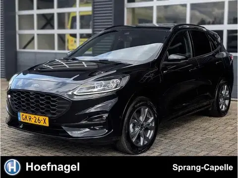 Used FORD KUGA Hybrid 2023 Ad 