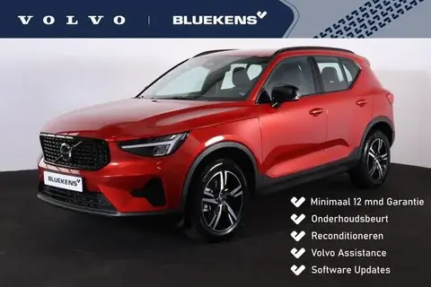 Annonce VOLVO XC40 Essence 2024 d'occasion 