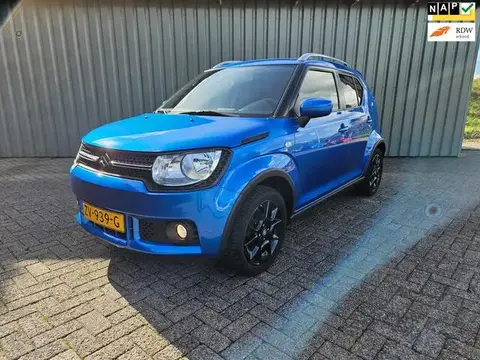 Used SUZUKI IGNIS Petrol 2019 Ad 