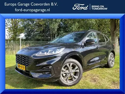 Used FORD KUGA Hybrid 2022 Ad 