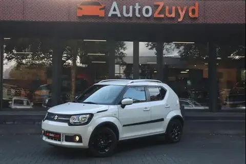 Used SUZUKI IGNIS Petrol 2019 Ad 