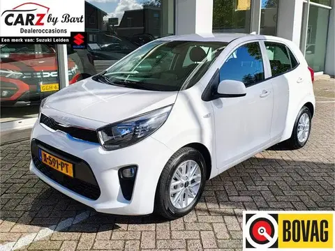 Annonce KIA PICANTO Essence 2024 d'occasion 