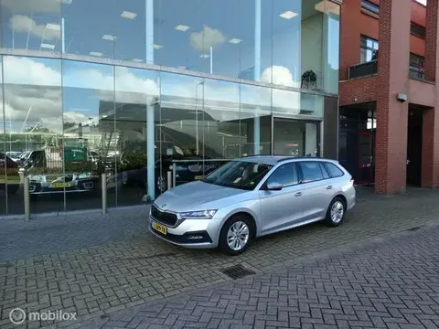 Used SKODA OCTAVIA Petrol 2021 Ad 