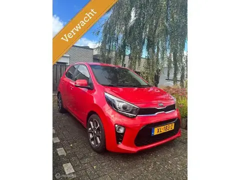 Used KIA PICANTO Petrol 2019 Ad 