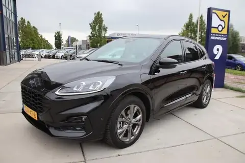 Used FORD KUGA Hybrid 2020 Ad 