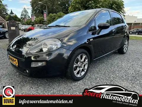 Annonce FIAT PUNTO Essence 2016 d'occasion 