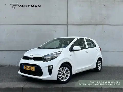 Annonce KIA PICANTO Essence 2019 d'occasion 