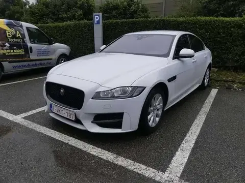 Annonce JAGUAR XF Diesel 2019 d'occasion 