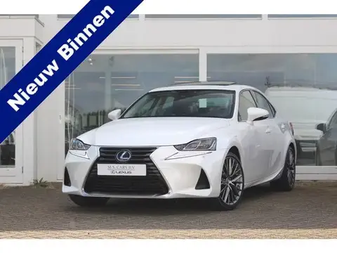 Used LEXUS IS Hybrid 2019 Ad 