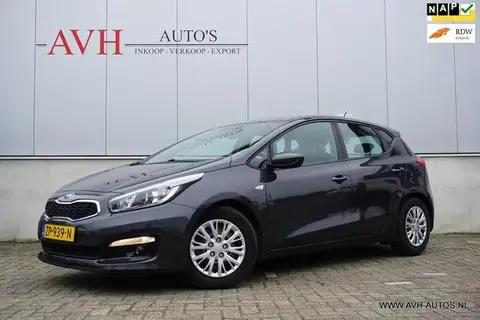 Used KIA CEED Petrol 2017 Ad 