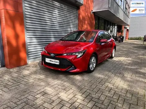 Used TOYOTA COROLLA Hybrid 2019 Ad 