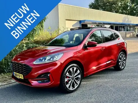 Used FORD KUGA Hybrid 2022 Ad 