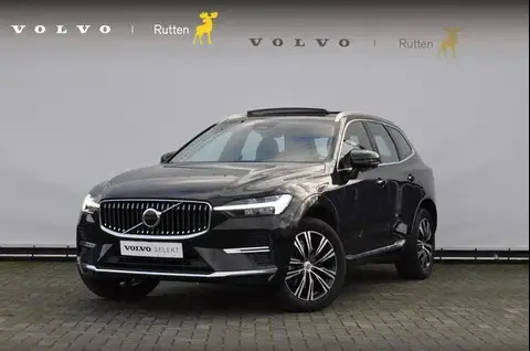 Used VOLVO XC60 Hybrid 2022 Ad 