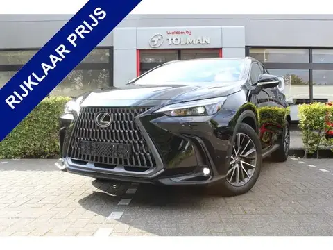 Used LEXUS NX Hybrid 2023 Ad 