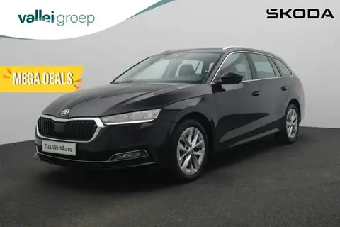 Used SKODA OCTAVIA Petrol 2023 Ad 