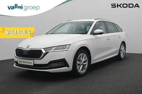 Used SKODA OCTAVIA Petrol 2023 Ad 