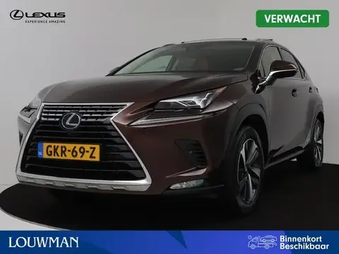 Used LEXUS NX Hybrid 2018 Ad 