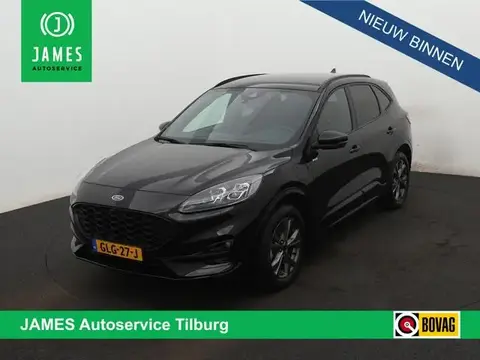 Used FORD KUGA Hybrid 2023 Ad 