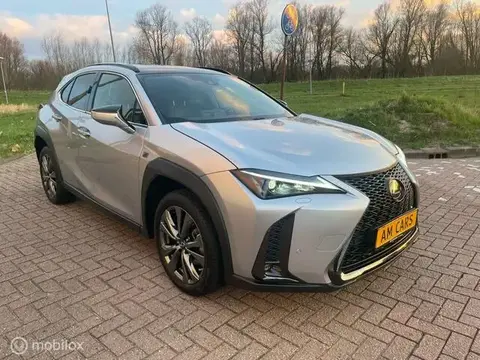 Used LEXUS UX Hybrid 2023 Ad 