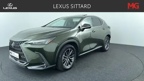 Annonce LEXUS NX Hybride 2022 d'occasion 