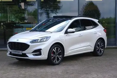 Annonce FORD KUGA Hybride 2021 d'occasion 