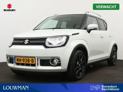 Used SUZUKI IGNIS Petrol 2017 Ad 