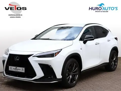 Used LEXUS NX Hybrid 2023 Ad 