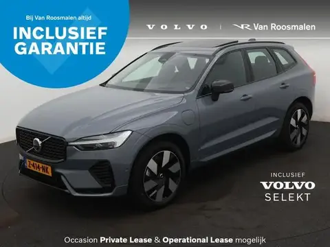 Used VOLVO XC60 Hybrid 2024 Ad 