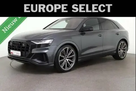 Used AUDI SQ8 Petrol 2021 Ad 