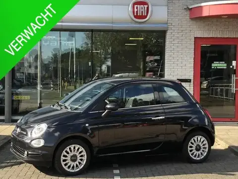 Annonce FIAT 500 Essence 2019 d'occasion 