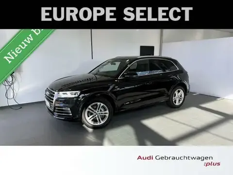 Used AUDI Q5 Hybrid 2021 Ad 