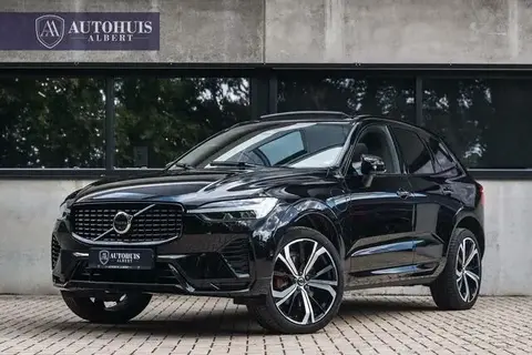 Used VOLVO XC60 Hybrid 2021 Ad 