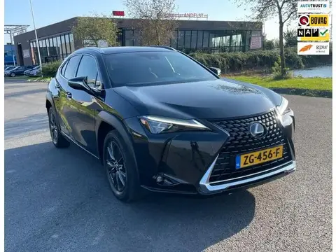 Used LEXUS UX Hybrid 2019 Ad 